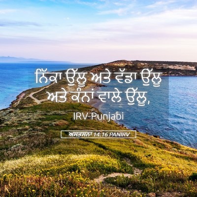Picture 05 - ਅਸਤਸਨਾ 14:16 PANIRV - ਨਿੱਕਾ ਉੱਲੂ ਅਤੇ - Bible Verse Picture