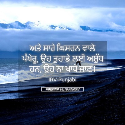 Picture 05 - ਅਸਤਸਨਾ 14:19 PANIRV - ਅਤੇ ਸਾਰੇ ਘਿਸਰਨ - Bible Verse Picture