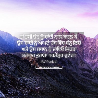 Picture 05 - ਅਸਤਸਨਾ 14:25 PANIRV - ਤਾਂ ਤੁਸੀਂ ਉਹ ਨੂੰ - Bible Verse Picture