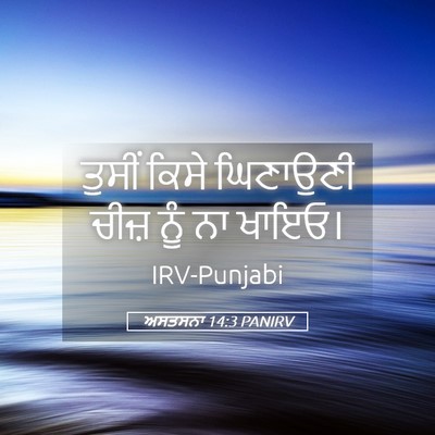 Picture 05 - ਅਸਤਸਨਾ 14:3 PANIRV - ਤੁਸੀਂ ਕਿਸੇ - Bible Verse Picture