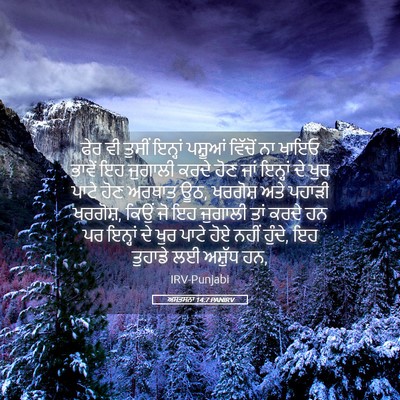 Picture 05 - ਅਸਤਸਨਾ 14:7 PANIRV - ਫੇਰ ਵੀ ਤੁਸੀਂ - Bible Verse Picture