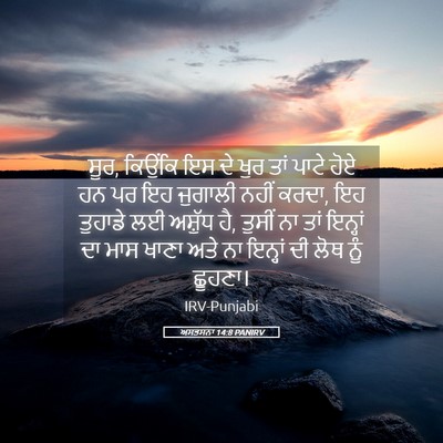 Picture 05 - ਅਸਤਸਨਾ 14:8 PANIRV - ਸੂਰ, ਕਿਉਂਕਿ ਇਸ ਦੇ - Bible Verse Picture