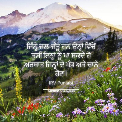 Picture 05 - ਅਸਤਸਨਾ 14:9 PANIRV - ਜਿੰਨ੍ਹੇ ਜਲ-ਜੰਤੂ ਹਨ - Bible Verse Picture