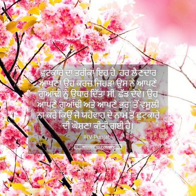 Picture 05 - ਅਸਤਸਨਾ 15:2 PANIRV - ਛੁਟਕਾਰੇ ਦਾ ਤਰੀਕਾ - Bible Verse Picture