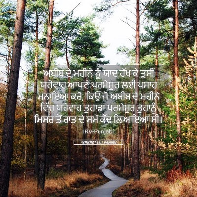 Picture 05 - ਅਸਤਸਨਾ 16:1 PANIRV - ਅਬੀਬ ਦੇ ਮਹੀਨੇ ਨੂੰ - Bible Verse Picture