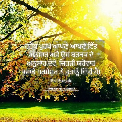 Picture 05 - ਅਸਤਸਨਾ 16:17 PANIRV - ਹਰੇਕ ਪੁਰਖ - Bible Verse Picture