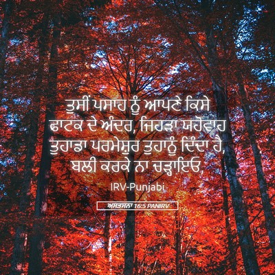 Picture 05 - ਅਸਤਸਨਾ 16:5 PANIRV - ਤੁਸੀਂ ਪਸਾਹ ਨੂੰ - Bible Verse Picture