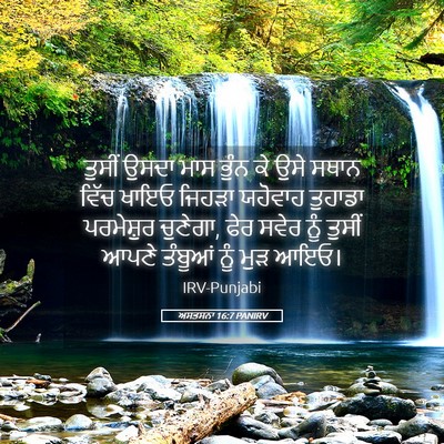 Picture 05 - ਅਸਤਸਨਾ 16:7 PANIRV - ਤੁਸੀਂ ਉਸਦਾ ਮਾਸ - Bible Verse Picture