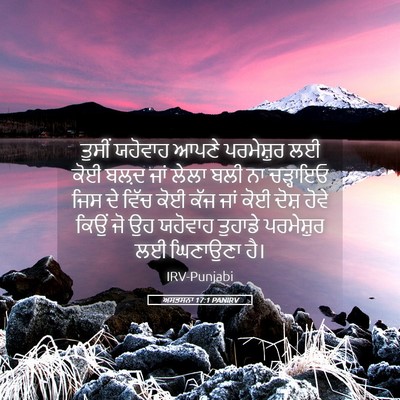 Picture 05 - ਅਸਤਸਨਾ 17:1 PANIRV - ਤੁਸੀਂ ਯਹੋਵਾਹ ਆਪਣੇ - Bible Verse Picture