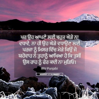 Picture 05 - ਅਸਤਸਨਾ 17:16 PANIRV - ਪਰ ਉਹ ਆਪਣੇ ਲਈ ਬਹੁਤ - Bible Verse Picture