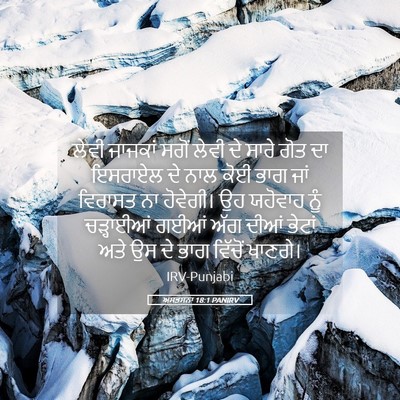 Picture 05 - ਅਸਤਸਨਾ 18:1 PANIRV - ਲੇਵੀ ਜਾਜਕਾਂ ਸਗੋਂ - Bible Verse Picture