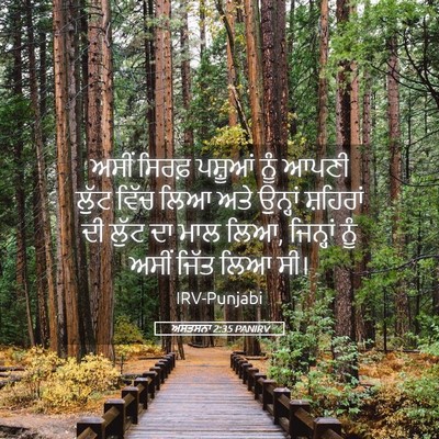 Picture 05 - ਅਸਤਸਨਾ 2:35 PANIRV - ਅਸੀਂ ਸਿਰਫ਼ ਪਸ਼ੂਆਂ - Bible Verse Picture
