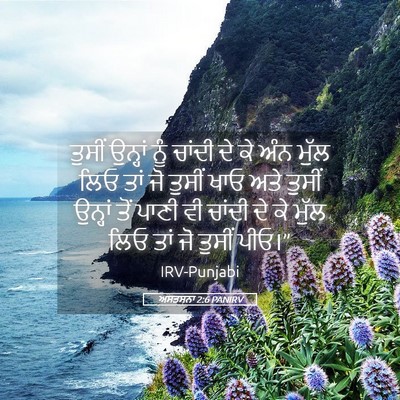 Picture 05 - ਅਸਤਸਨਾ 2:6 PANIRV - ਤੁਸੀਂ ਉਨ੍ਹਾਂ ਨੂੰ - Bible Verse Picture