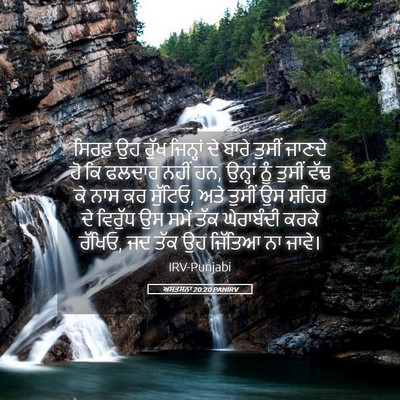 Picture 05 - ਅਸਤਸਨਾ 20:20 PANIRV - ਸਿਰਫ਼ ਉਹ ਰੁੱਖ - Bible Verse Picture