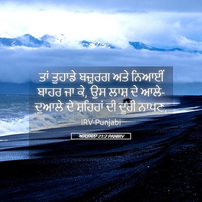 Picture 05 - ਅਸਤਸਨਾ 21:2 PANIRV - ਤਾਂ ਤੁਹਾਡੇ ਬਜ਼ੁਰਗ - Bible Verse Picture