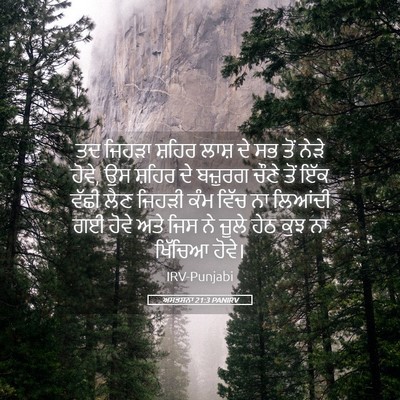 Picture 05 - ਅਸਤਸਨਾ 21:3 PANIRV - ਤਦ ਜਿਹੜਾ ਸ਼ਹਿਰ - Bible Verse Picture