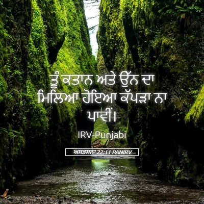 Picture 05 - ਅਸਤਸਨਾ 22:11 PANIRV - ਤੂੰ ਕਤਾਨ ਅਤੇ ਉੱਨ ਦਾ - Bible Verse Picture