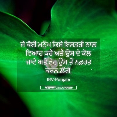 Picture 05 - ਅਸਤਸਨਾ 22:13 PANIRV - ਜੇ ਕੋਈ ਮਨੁੱਖ ਕਿਸੇ - Bible Verse Picture