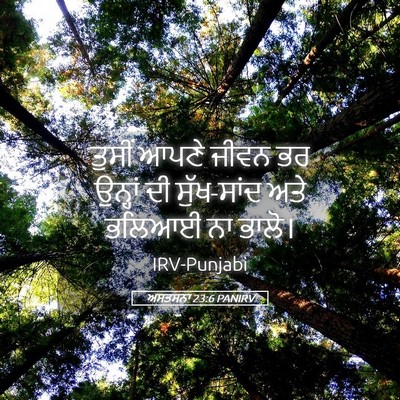 Picture 05 - ਅਸਤਸਨਾ 23:6 PANIRV - ਤੁਸੀਂ ਆਪਣੇ ਜੀਵਨ ਭਰ - Bible Verse Picture