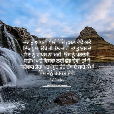 Picture 05 - ਅਸਤਸਨਾ 24:19 PANIRV - ਜਦ ਤੂੰ ਆਪਣੀ ਪੈਲੀ - Bible Verse Picture