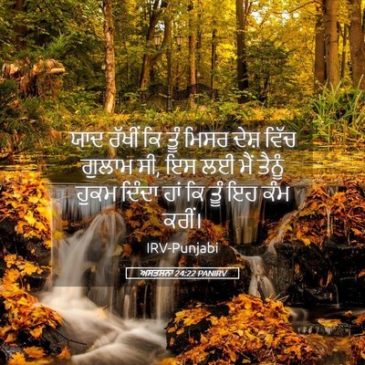 Picture 05 - ਅਸਤਸਨਾ 24:22 PANIRV - ਯਾਦ ਰੱਖੀਂ ਕਿ ਤੂੰ - Bible Verse Picture