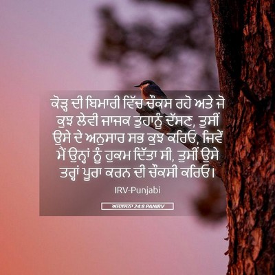 Picture 05 - ਅਸਤਸਨਾ 24:8 PANIRV - ਕੋੜ੍ਹ ਦੀ ਬਿਮਾਰੀ - Bible Verse Picture