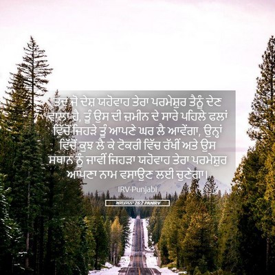 Picture 05 - ਅਸਤਸਨਾ 26:2 PANIRV - ਤਦ ਜੋ ਦੇਸ਼ ਯਹੋਵਾਹ - Bible Verse Picture