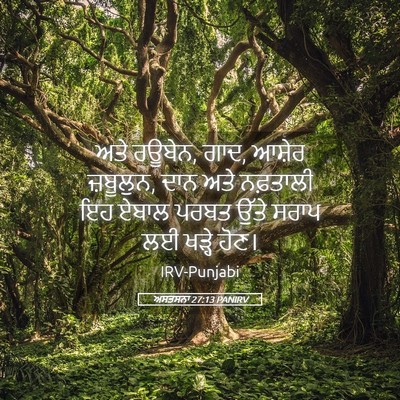 Picture 05 - ਅਸਤਸਨਾ 27:13 PANIRV - ਅਤੇ ਰਊਬੇਨ, ਗਾਦ, - Bible Verse Picture