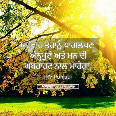 Picture 05 - ਅਸਤਸਨਾ 28:28 PANIRV - ਯਹੋਵਾਹ ਤੁਹਾਨੂੰ - Bible Verse Picture