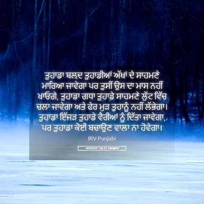 Picture 05 - ਅਸਤਸਨਾ 28:31 PANIRV - ਤੁਹਾਡਾ ਬਲ਼ਦ - Bible Verse Picture