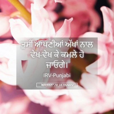 Picture 05 - ਅਸਤਸਨਾ 28:34 PANIRV - ਤੁਸੀਂ ਆਪਣੀਆਂ - Bible Verse Picture