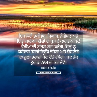 Picture 05 - ਅਸਤਸਨਾ 28:48 PANIRV - ਇਸ ਲਈ ਤੁਸੀਂ ਭੁੱਖ, - Bible Verse Picture