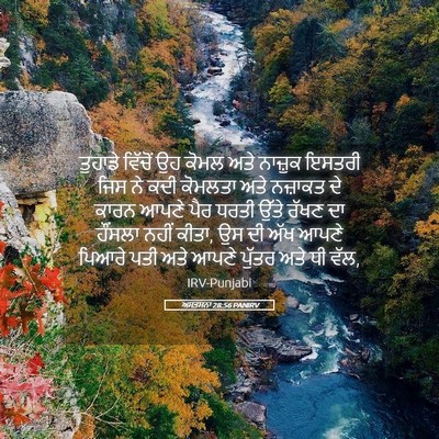 Picture 05 - ਅਸਤਸਨਾ 28:56 PANIRV - ਤੁਹਾਡੇ ਵਿੱਚੋਂ ਉਹ - Bible Verse Picture