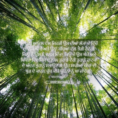 Picture 05 - ਅਸਤਸਨਾ 28:57 PANIRV - ਆਪਣੀ ਆਓਲ ਵੱਲ ਜਿਹੜੀ - Bible Verse Picture