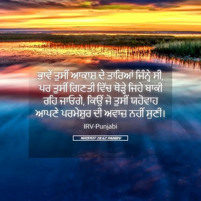 Picture 05 - ਅਸਤਸਨਾ 28:62 PANIRV - ਭਾਵੇਂ ਤੁਸੀਂ ਆਕਾਸ਼ - Bible Verse Picture