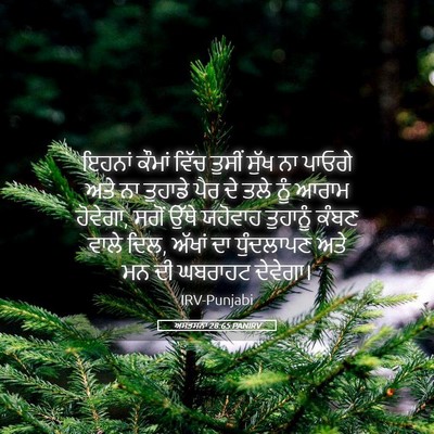 Picture 05 - ਅਸਤਸਨਾ 28:65 PANIRV - ਇਹਨਾਂ ਕੌਮਾਂ ਵਿੱਚ - Bible Verse Picture