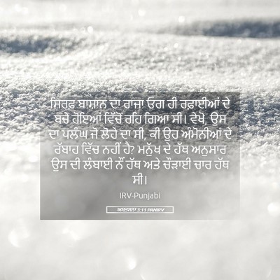 Picture 05 - ਅਸਤਸਨਾ 3:11 PANIRV - ਸਿਰਫ਼ ਬਾਸ਼ਾਨ ਦਾ - Bible Verse Picture