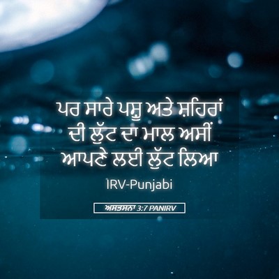 Picture 05 - ਅਸਤਸਨਾ 3:7 PANIRV - ਪਰ ਸਾਰੇ ਪਸ਼ੂ ਅਤੇ - Bible Verse Picture