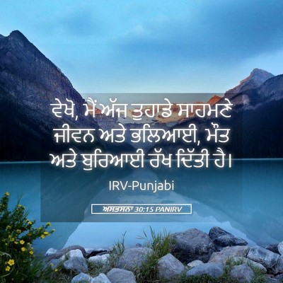 Picture 05 - ਅਸਤਸਨਾ 30:15 PANIRV - ਵੇਖੋ, ਮੈਂ ਅੱਜ - Bible Verse Picture
