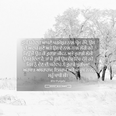 Picture 05 - ਅਸਤਸਨਾ 30:20 PANIRV - ਤੁਸੀਂ ਯਹੋਵਾਹ ਆਪਣੇ - Bible Verse Picture