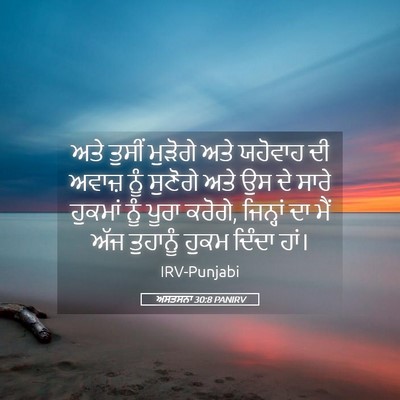 Picture 05 - ਅਸਤਸਨਾ 30:8 PANIRV - ਅਤੇ ਤੁਸੀਂ ਮੁੜੋਗੇ - Bible Verse Picture