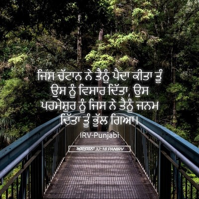 Picture 05 - ਅਸਤਸਨਾ 32:18 PANIRV - ਜਿਸ ਚੱਟਾਨ ਨੇ ਤੈਨੂੰ - Bible Verse Picture