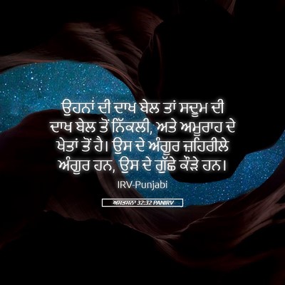 Picture 05 - ਅਸਤਸਨਾ 32:32 PANIRV - ਉਹਨਾਂ ਦੀ ਦਾਖ ਬੇਲ - Bible Verse Picture
