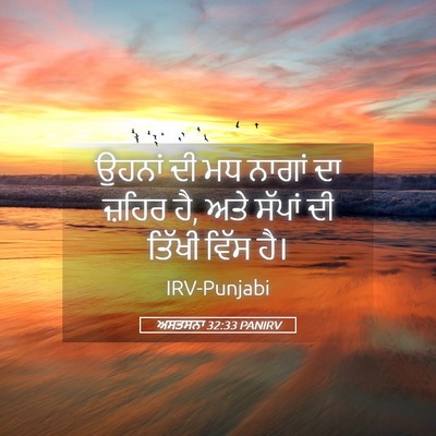 Picture 05 - ਅਸਤਸਨਾ 32:33 PANIRV - ਉਹਨਾਂ ਦੀ ਮਧ ਨਾਗਾਂ - Bible Verse Picture