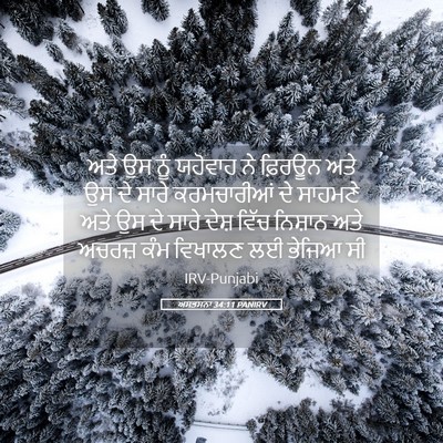 Picture 05 - ਅਸਤਸਨਾ 34:11 PANIRV - ਅਤੇ ਉਸ ਨੂੰ ਯਹੋਵਾਹ - Bible Verse Picture