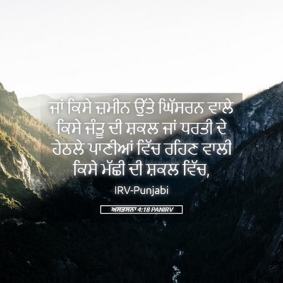 Picture 05 - ਅਸਤਸਨਾ 4:18 PANIRV - ਜਾਂ ਕਿਸੇ ਜ਼ਮੀਨ - Bible Verse Picture