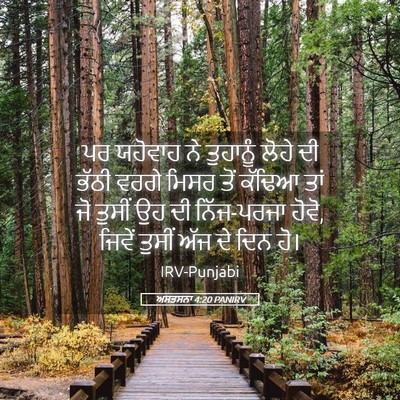 Picture 05 - ਅਸਤਸਨਾ 4:20 PANIRV - ਪਰ ਯਹੋਵਾਹ ਨੇ - Bible Verse Picture
