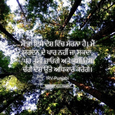 Picture 05 - ਅਸਤਸਨਾ 4:22 PANIRV - ਮੈਂ ਤਾਂ ਇਸੇ ਦੇਸ਼ - Bible Verse Picture