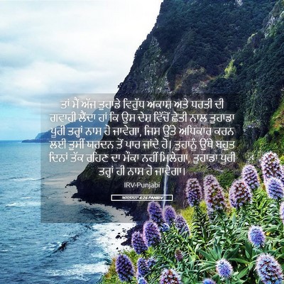 Picture 05 - ਅਸਤਸਨਾ 4:26 PANIRV - ਤਾਂ ਮੈਂ ਅੱਜ ਤੁਹਾਡੇ - Bible Verse Picture