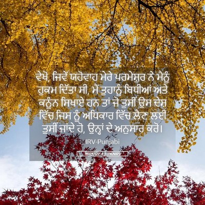 Picture 05 - ਅਸਤਸਨਾ 4:5 PANIRV - ਵੇਖੋ, ਜਿਵੇਂ ਯਹੋਵਾਹ - Bible Verse Picture